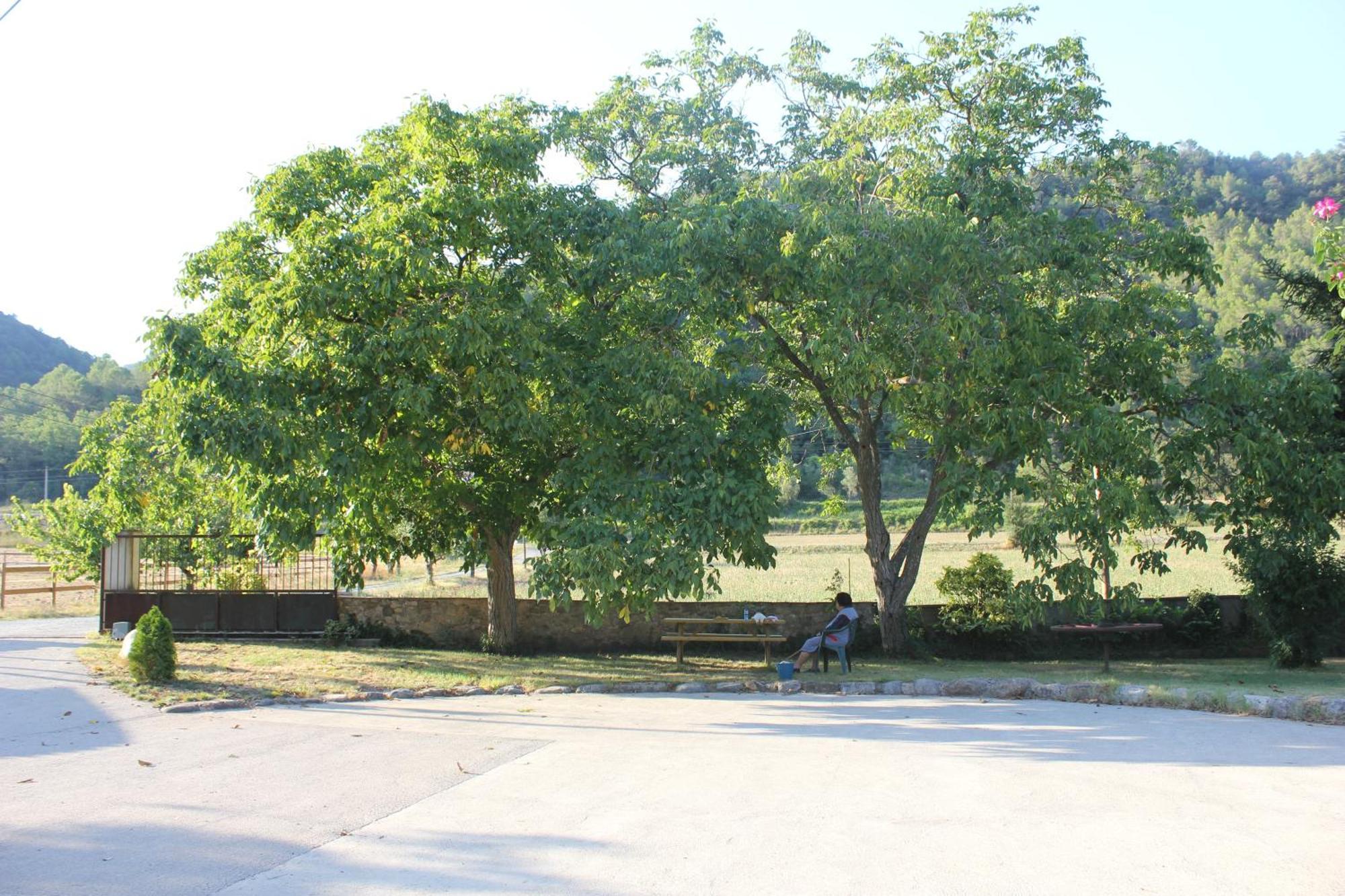 Can Carreras Albanya Luaran gambar